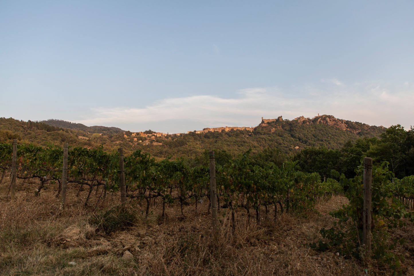 Ampeleia Cabernet Franc